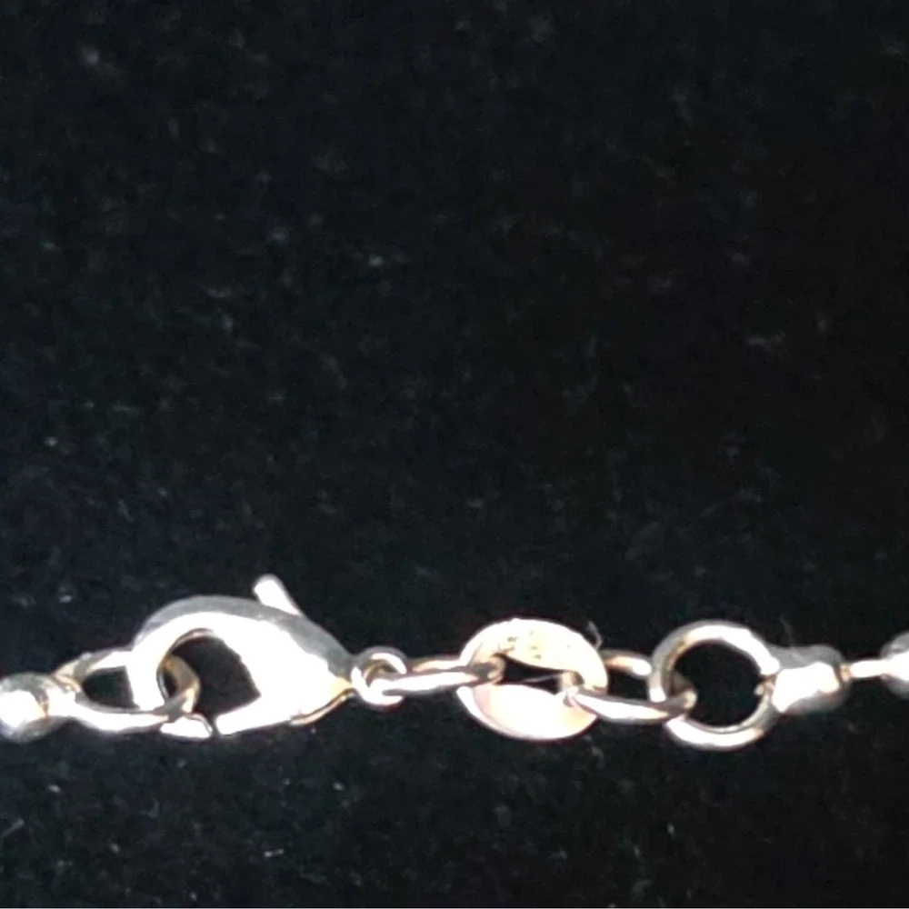 United States Coast Guard Sterling Silver Dogtag locket with Chain